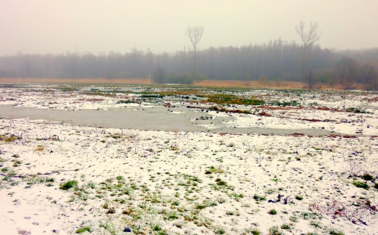 mist kan mooi zijn, foto door Rita Koolstra