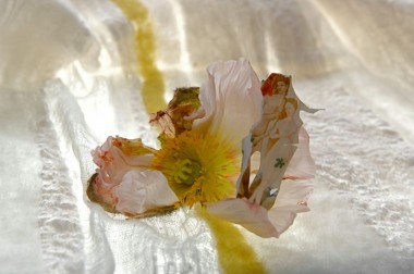 ook soort mist in moderne schilderijen