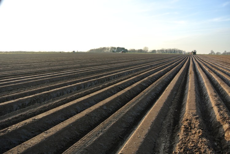 Uitzicht uit Yvette's raam, voorjaar 2013, foto AvtHof